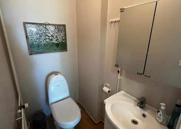 公寓 Jaeaeskaen Loma Ratatie 3 Asunto 4, 考哈瓦